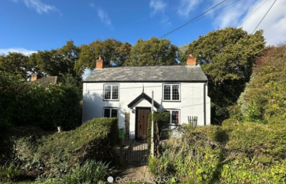 PP in Lymington photo